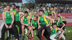 mispolsk19