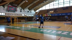 recznalogo